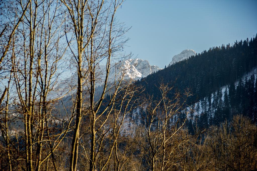 Dolina Resort Zakopane Kościelisko Rum bild